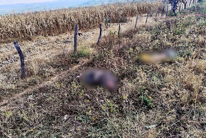Homicidas dejan los cuerpos de dos hombres en Paso del Molino, en Tangamandapio