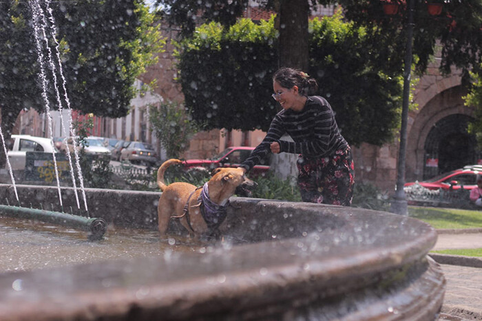 Hoy es Día Mundial del Perro; ¿sabes por qué se celebra cada 21 de julio?