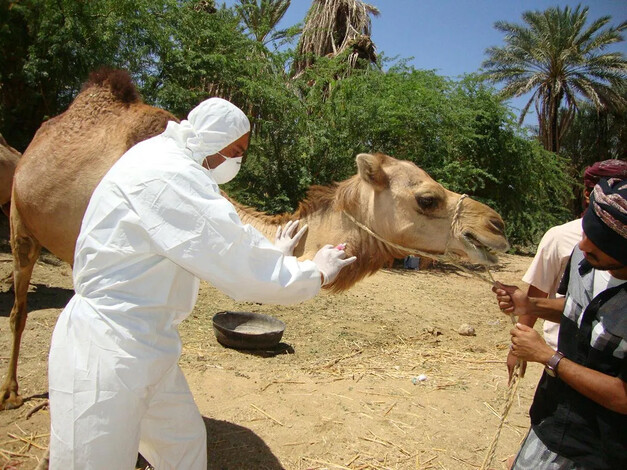 Hoy se celebra en México el Día Nacional del Médico Veterinario Zootecnista