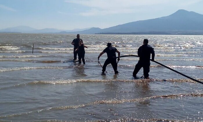 Huachicoleo de agua: deshabilitan megatoma ilegal en el lago de Pátzcuaro