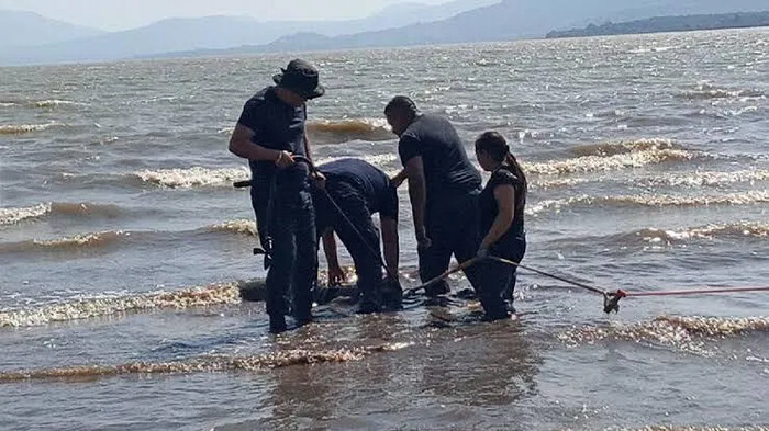 Huachicoleo en el Lago de Pátzcuaro llegó hasta a los 374 mil litros en ocho horas