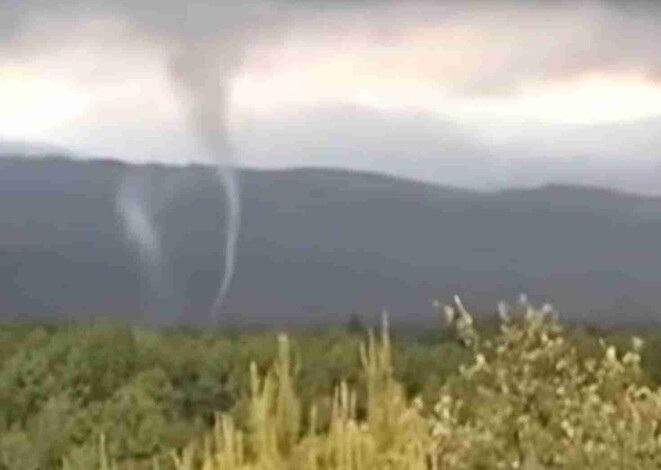 Huertas de aguacate arrasadas por tornado en faldas del Volcán Paricutín