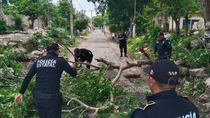 Huracán Beryl causa desastres significativos en Quintana Roo