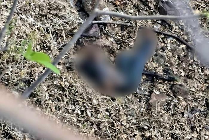 Identifican el cadáver hallado en barranca; su taxi fue clave en emboscada contra policías en Apatzingán