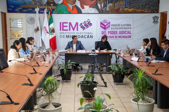 IEM aprueba documentación y materiales electorales para el proceso electoral judicial