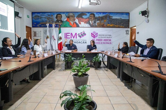 IEM pide 293.9 mdp para la elección del Poder Judicial