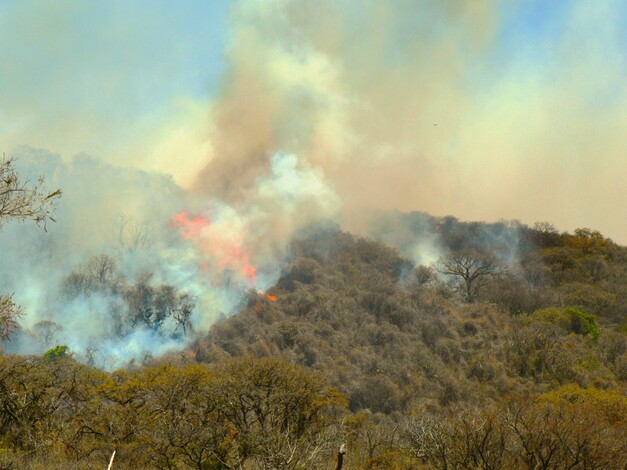 #Imágenes | Inician sobrevuelo de dron para atender incendio en el cerro del Quinceo