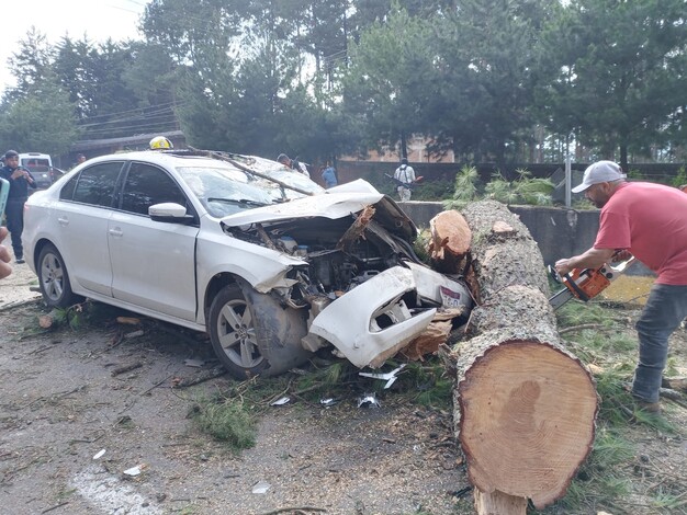 #Imágenes | Árbol caído provoca choque y deja dos heridos en la carretera Pátzcuaro-Santa Clara