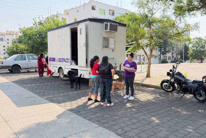 IMPArables por la Vida trabaja por la cultura de protección animal en Villas del Pedregal