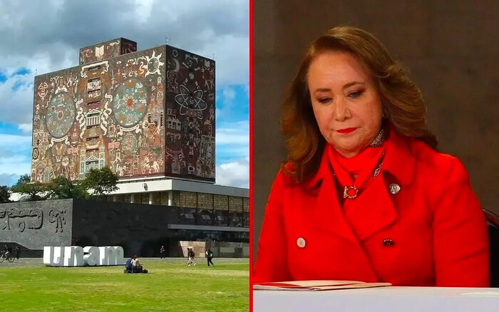 INAI y SCJN mantienen abiertas las revisiones sobre el plagio de Yasmín Esquivel