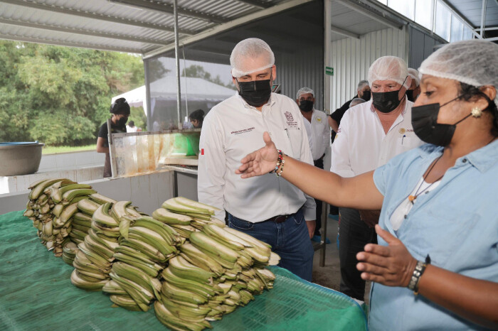 Inauguran planta de harina de plátano en Coahuayana y otorgan presupuesto de 5 mdp para productores