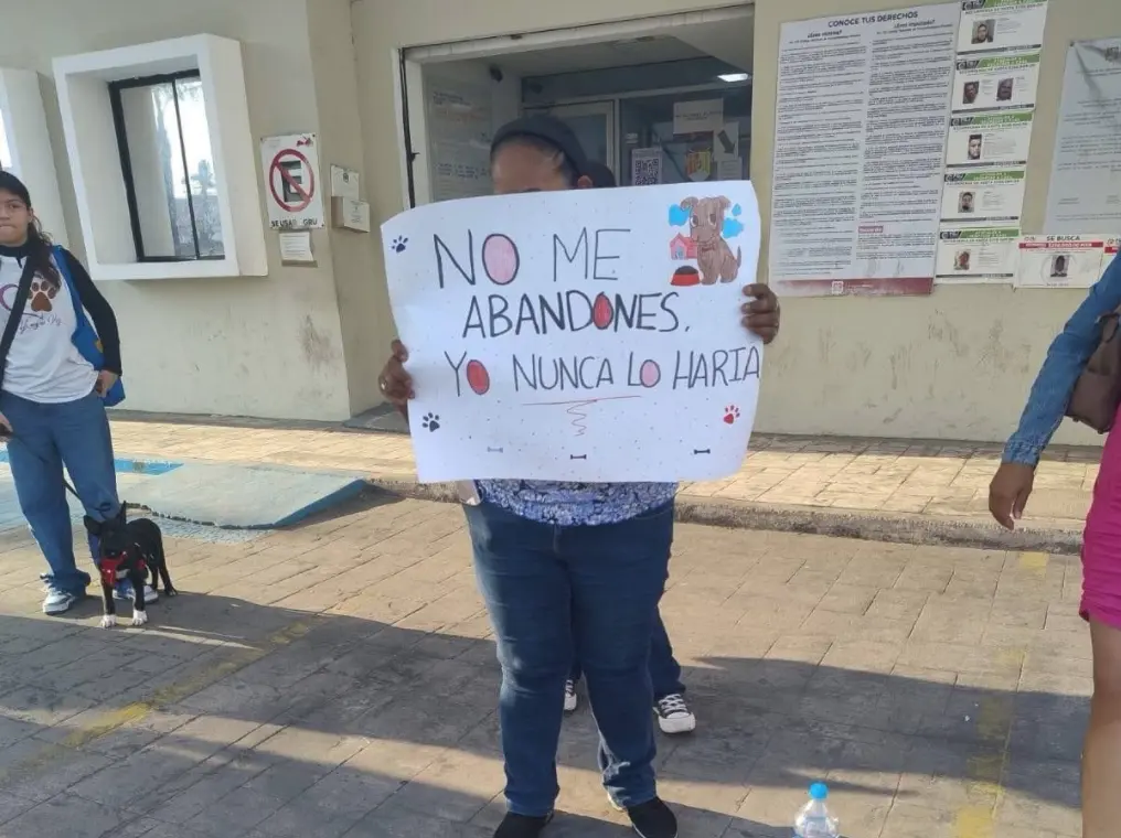 Incendian refugio animal “Colitas Felices” en Nayarit