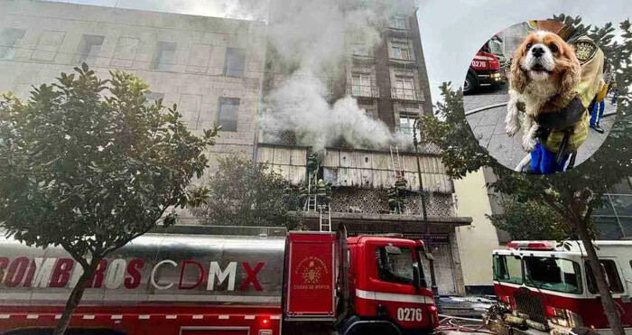 Incendio consume bodega en edificio de CDMX; rescatan a mujer y su mascota