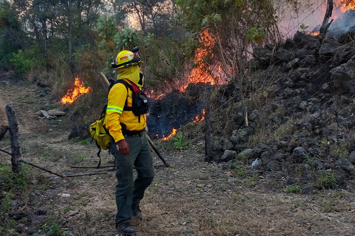 Incendio en el área forestal protegida del Zapién afecta 6.7 hectáreas, en Uruapan