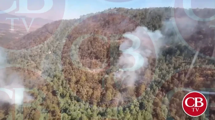 Incendio fue mínimo en el Santuario de la Monarca