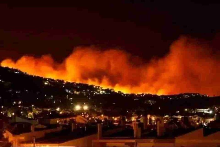 Incendio que inició presuntamente por quema agrícola ha devastado a Veracruz