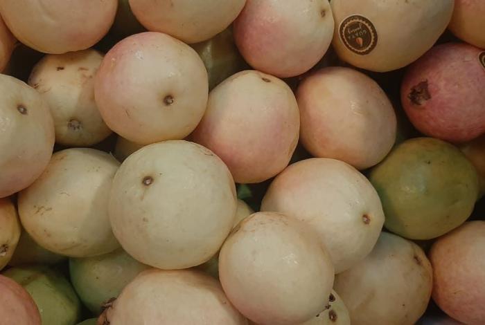 Indicación Geográfica, el sello que le da valor extra a la guayaba michoacana