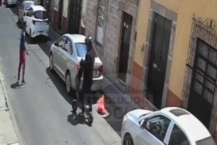 Indignación por sujeto que abandonó un gatito en el centro de Morelia; lo arrojó a la calle