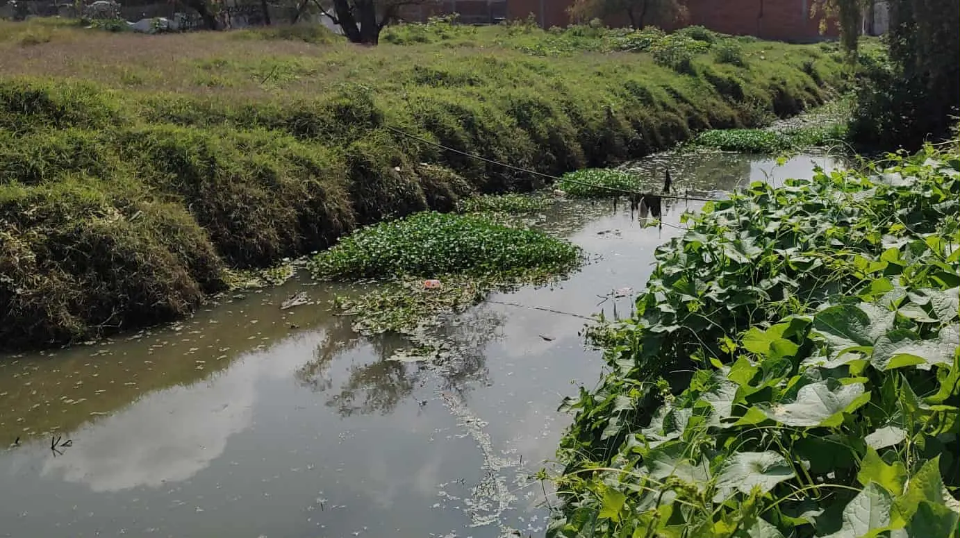 Inundaciones provocan riesgos en la salud de vecinos de la Primo Tapia Poniente