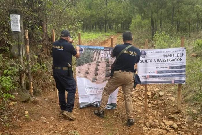 Investiga FGE predio relacionado con tala y cultivo ilegal de aguacate en Salvador Escalante