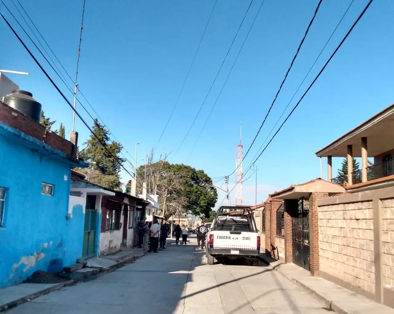 Investigan muerte de dos perros hallados en San Nicolás Obispo