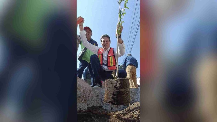 Invita gobierno de Morelia sumarme al programa “Planta un Árbol en tu Banqueta