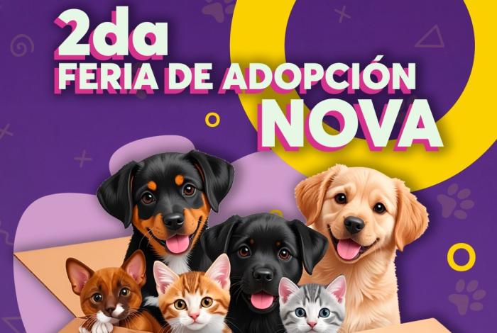 Invitan a segunda Feria de adopción Nova este sábado en el Centro de Morelia