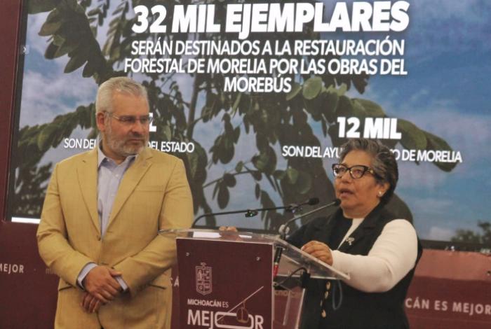 Jacarandas, eucaliptos y ficus no son especies ideales para Tres Puentes; apuestan por vegetación nativa