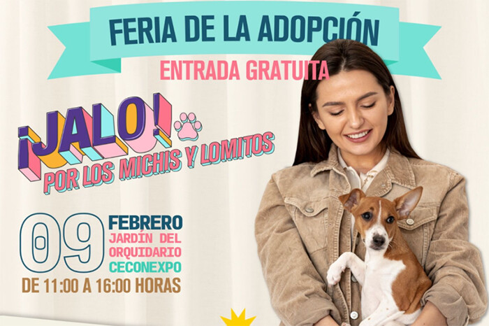 ¡Jalo por los michis y lomitos! Invitan a Feria de la Adopción y kermés en Ceconexpo, Morelia