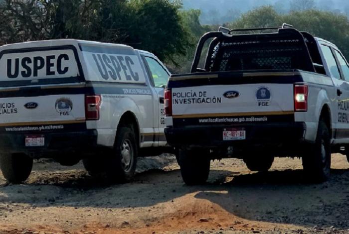 Jauría de perros habría matado a mujer en Morelia; FGE pide ayuda para identificarla