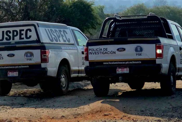 Jauría de perros habría matado a mujer hallada en un camino de terracería, al norte de Morelia