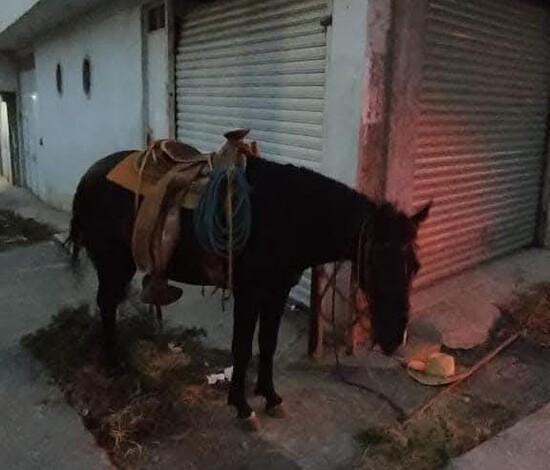 Jinete muere al caerse de su caballo en Zitáuaro