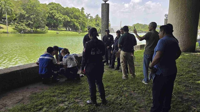 Joven se lanza desde mirador y cae a laguna llena de cocodrilos en Tabasco