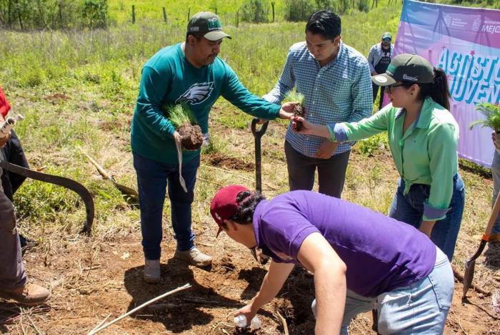 Jóvenes plantan más de 50 mil árboles en reforestación simultánea en 16 municipios