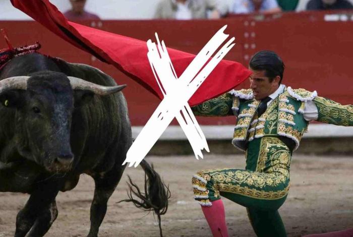 Juez federal niega amparo para corrida de toros