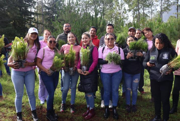 Julio Arreola arranca campaña de reforestación 2025 en Pátzcuaro