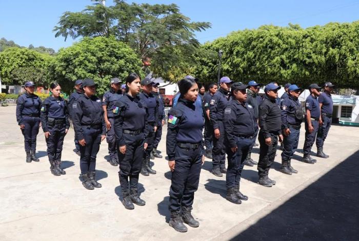 Kuarichas podrían integrarse a actividades de protección forestal: Secma