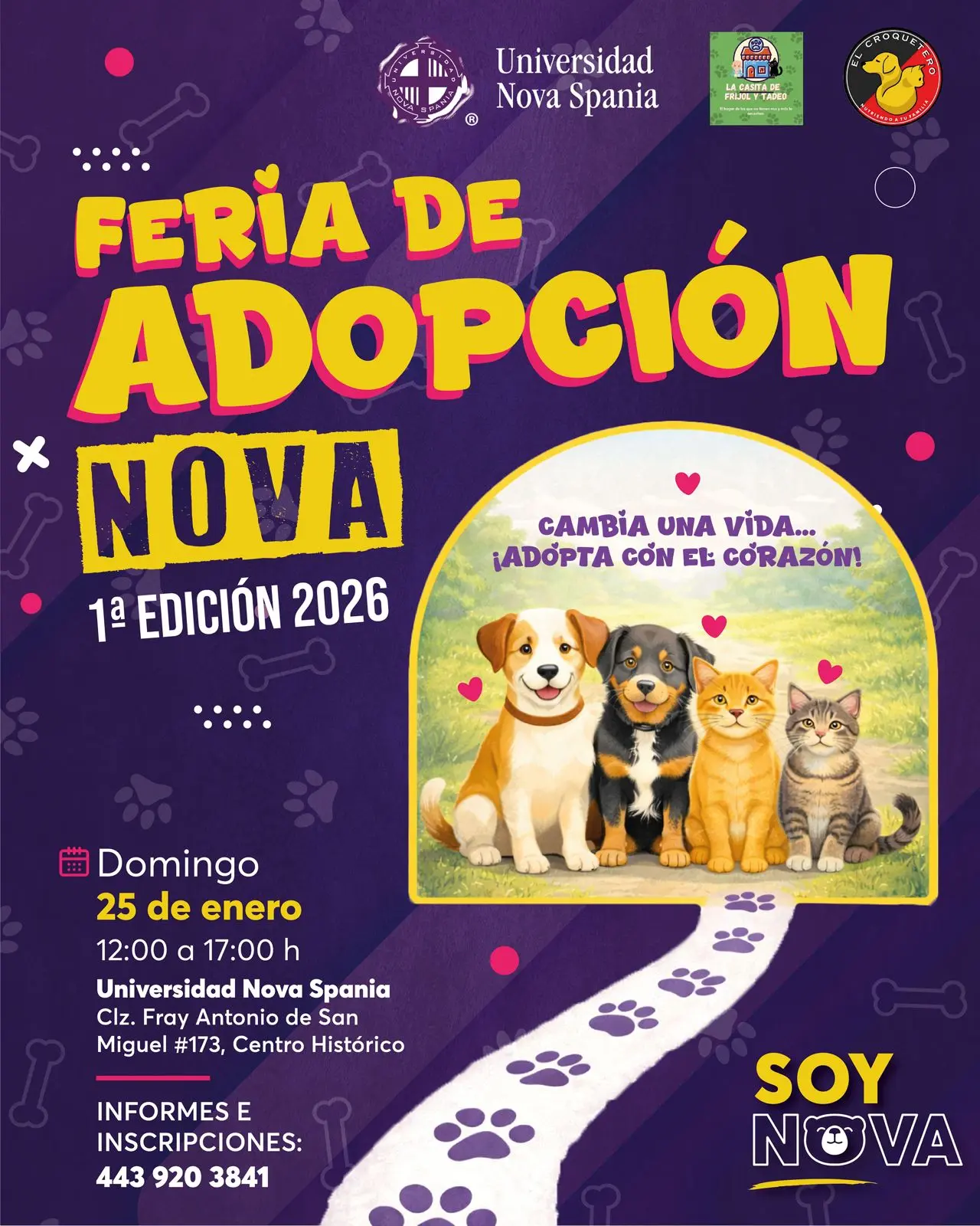 La Casita de Frijol convoca a su primera feria de adopción del 2026 en Morelia