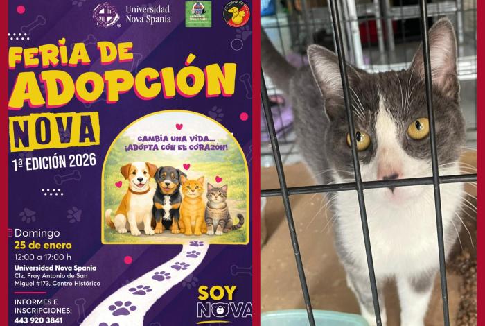 La Casita de Frijol convoca a su primera feria de adopción del 2026 en Morelia