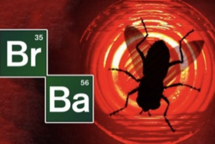 La mosca en la pantalla: Metáfora de horror, estancamiento social y muerte en vida