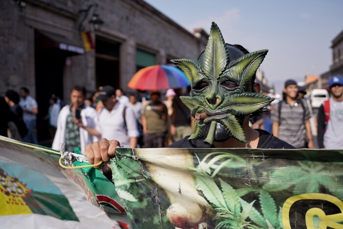 La mota legal eleva la moral; marchan pachecos en Morelia