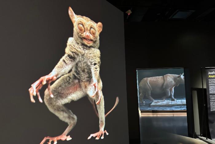 La National Geographic recibe a los exploradores del mundo en un nuevo y moderno museo