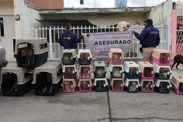 La Piedad: FGE rescata 29 caninos víctimas de maltrato animal