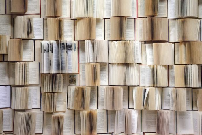 La universidad de los libros