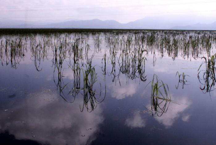 Lago de Cuitzeo está al 65% de su capacidad; alcaldesa pide más recursos para su limpieza