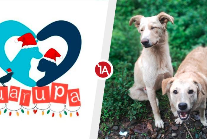 Lanza UARUPA la campaña ‘Perro de nadie es de todos’