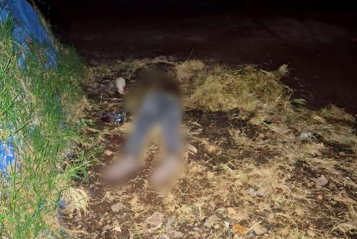 Lapidado y baleado encuentran cadáver en predio de Zamora