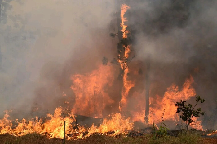 Las llamas consumen Michoacán; más de 25 mil hectáreas afectadas por incendios forestales