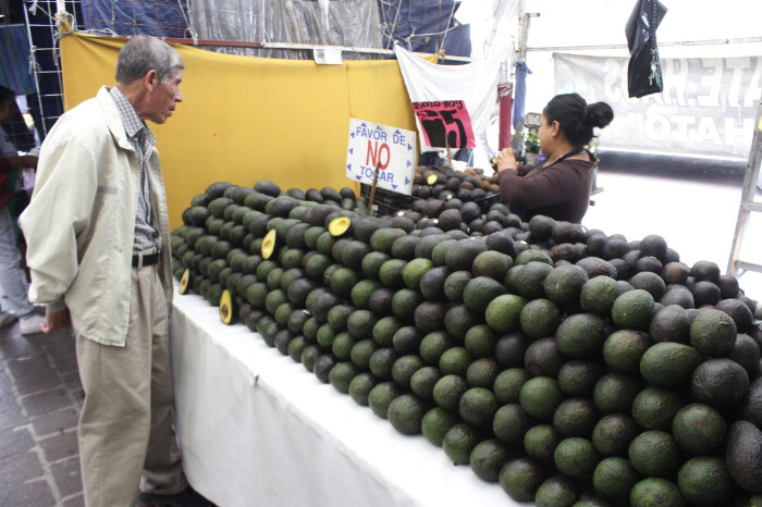 Leen cartilla a aguacateros si quieren exportar; estos podrán decir si no están de acuerdo