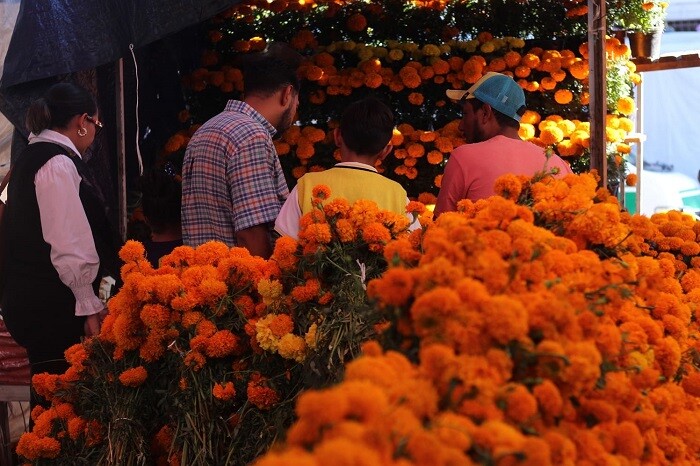 Listo el operativo para celebraciones del Día de Muertos: Segob